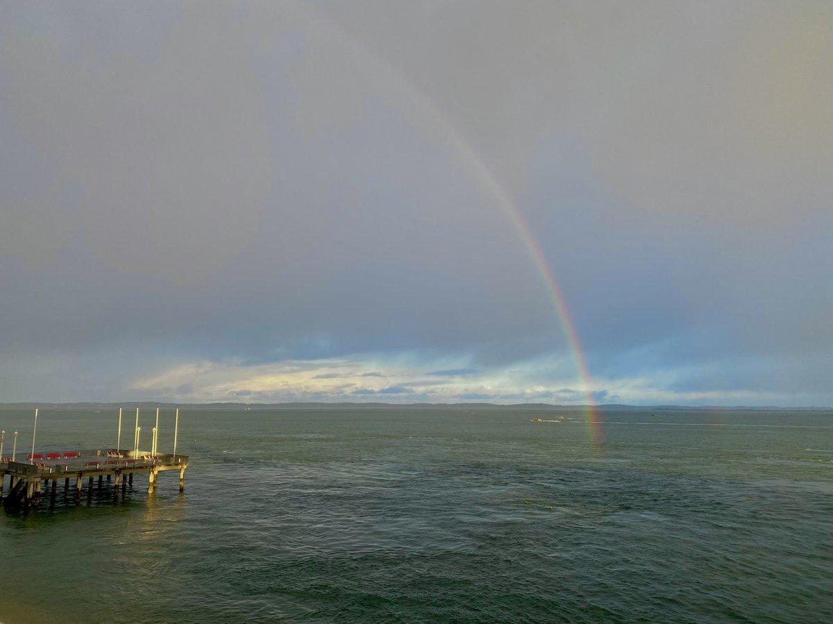 myriam's tweet image. Wishing you a safe one!
#weekend