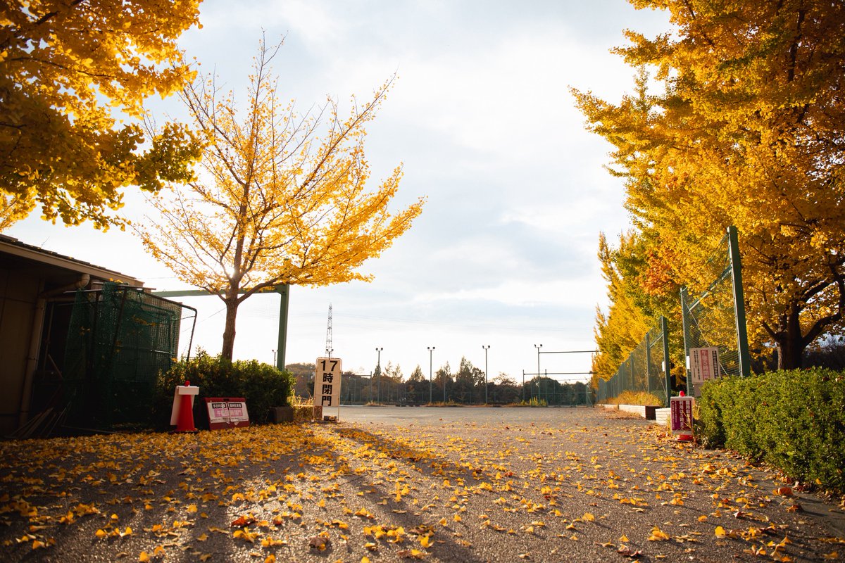 and_tapioca's tweet image. 終わってしまったな