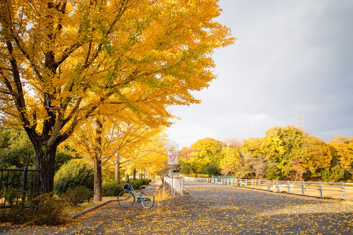 and_tapioca's tweet image. 終わってしまったな