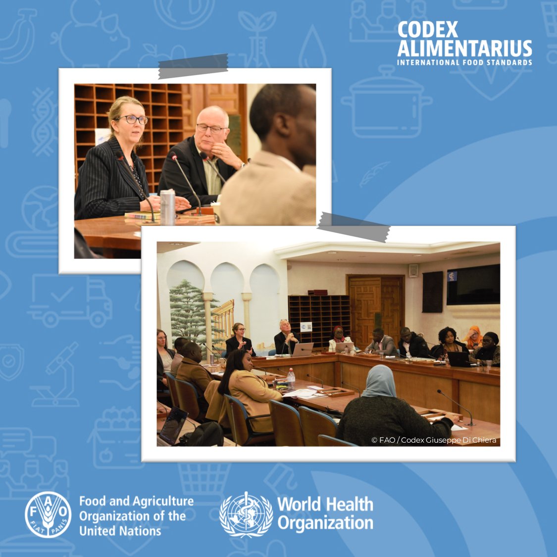 FAOWHOCodex's tweet image. 📸 | Glad to welcome @CAHFS_UMN students @FAO HQ and to talk about #Codex &amp;amp; its standards with them.

👉We look forward to working together to protect consumer health and facilitate fair practices in the food trade through science-based international food standards.

#FoodSafety