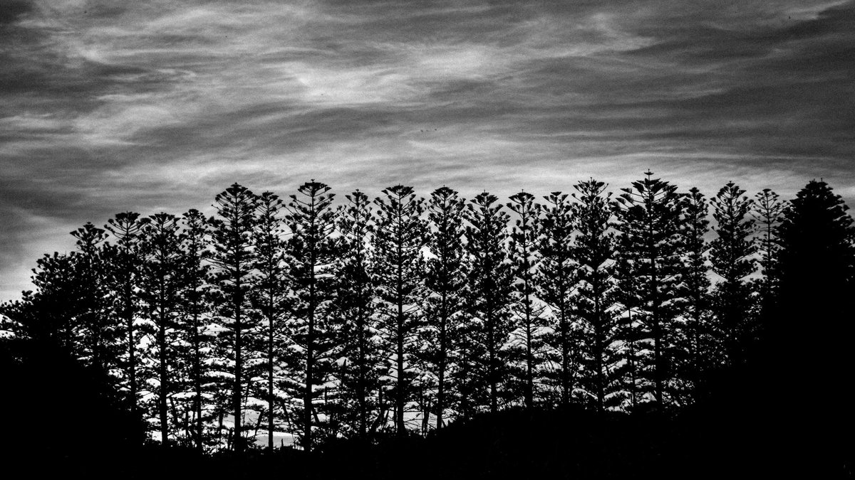 nft_clctr's tweet image. Hear me out...

Collect photography