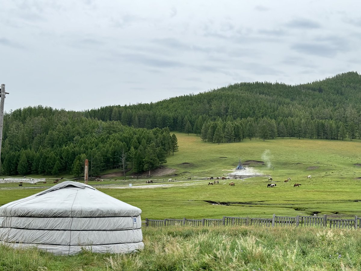 yongskrrr's tweet image. 몽골이 너무너무너무너무 가고싶어 정말 아름다운 나라야🥺