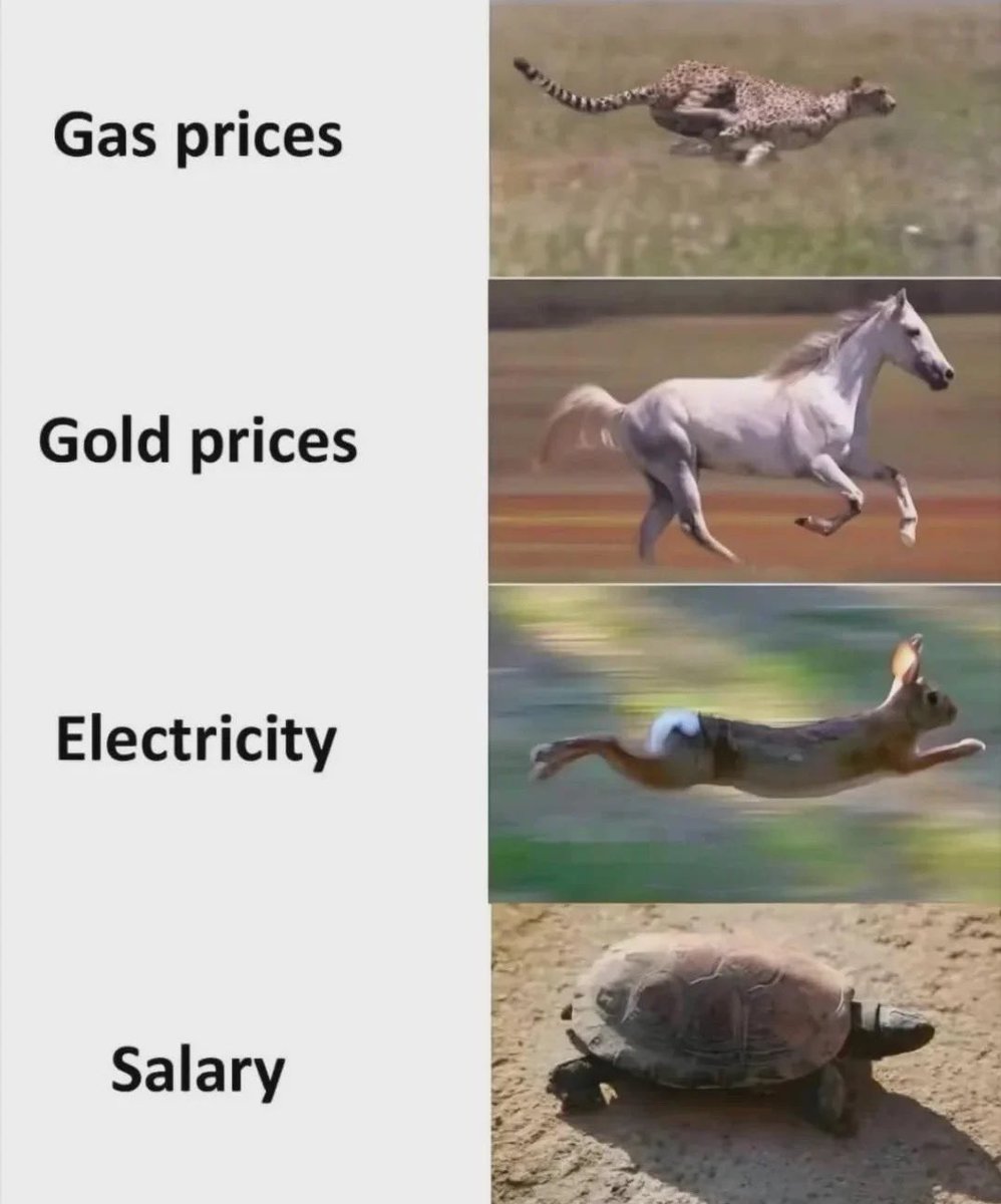 Douglas A. Boneparth tweet media