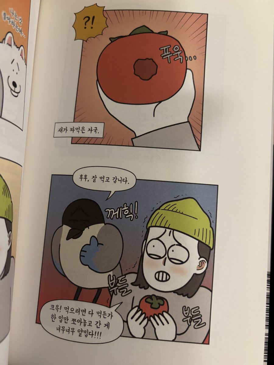 monday_milo's tweet image. 물까치와싸우기