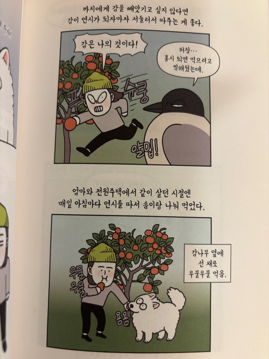 monday_milo's tweet image. 물까치와싸우기