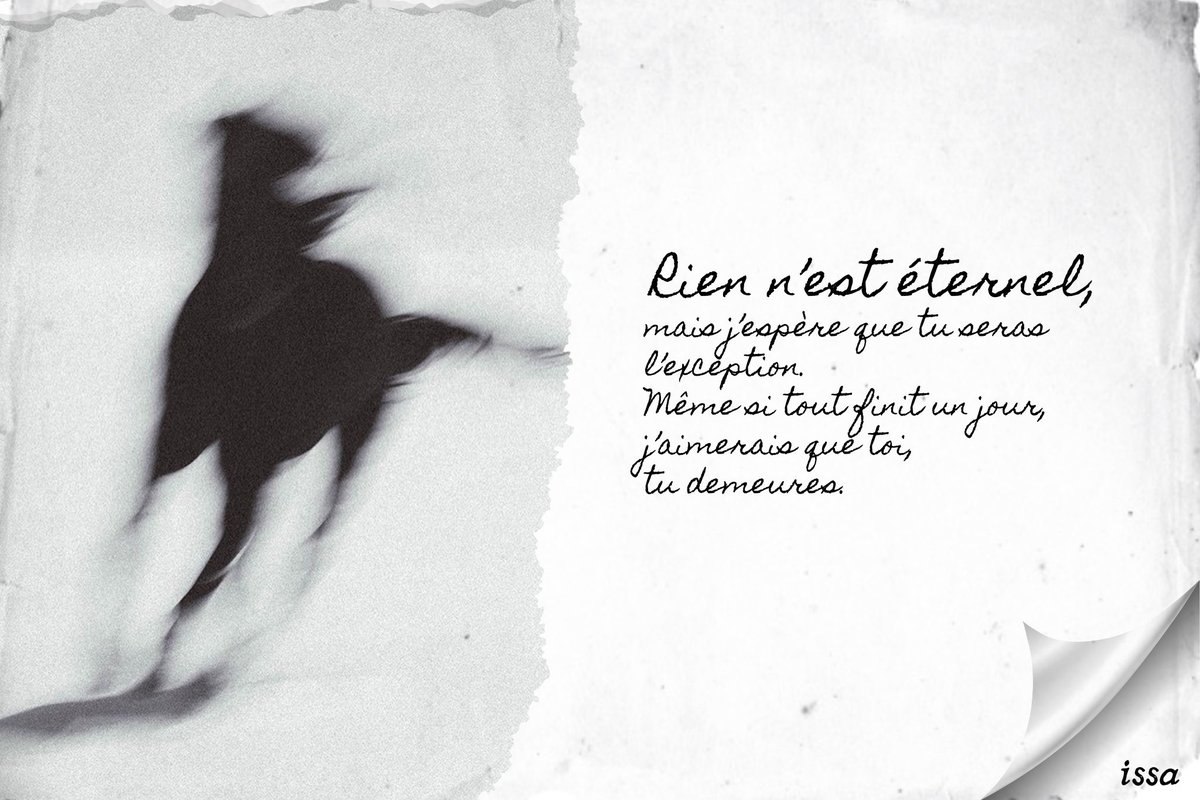 ⭑ᴍᴇɪɴ⭑drop dead 🩷 tweet media