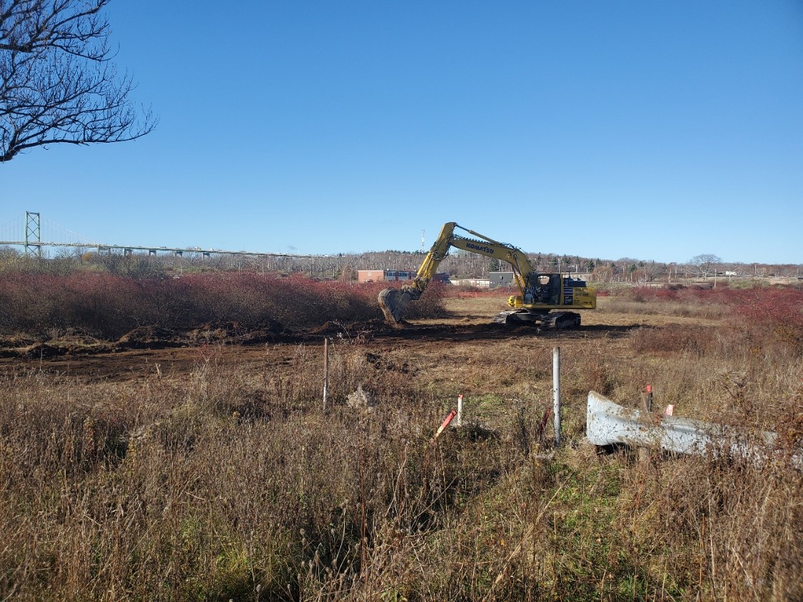 To support the first phase of development, site remediation work will take place at Shannon Park on the eastern portion. This work will restore the quality of the soil and vegetation on the site.