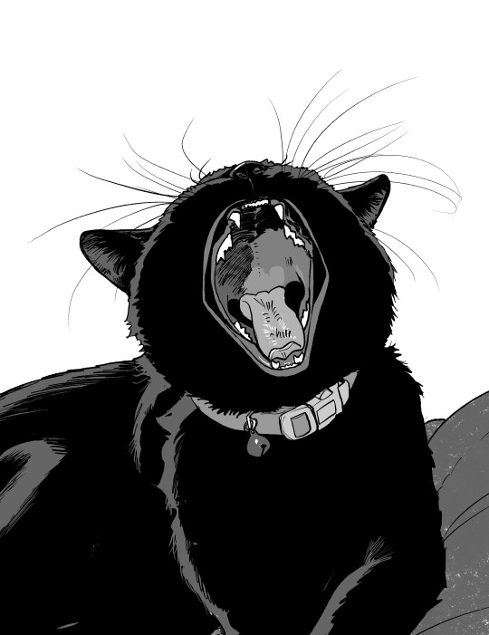 最新号】ねこぱんち まるまり秋ネコ号 (にゃんCOMI)【発売中】 「家に