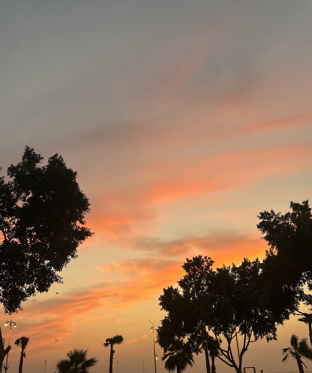 رُبَى tweet media