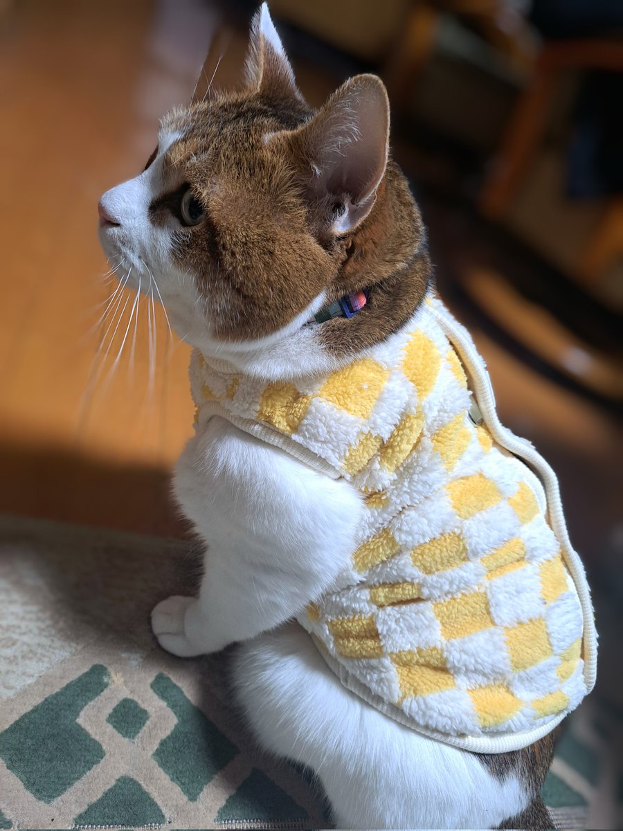 さちこG.S (@sachiko0502_mm) / Posts / X