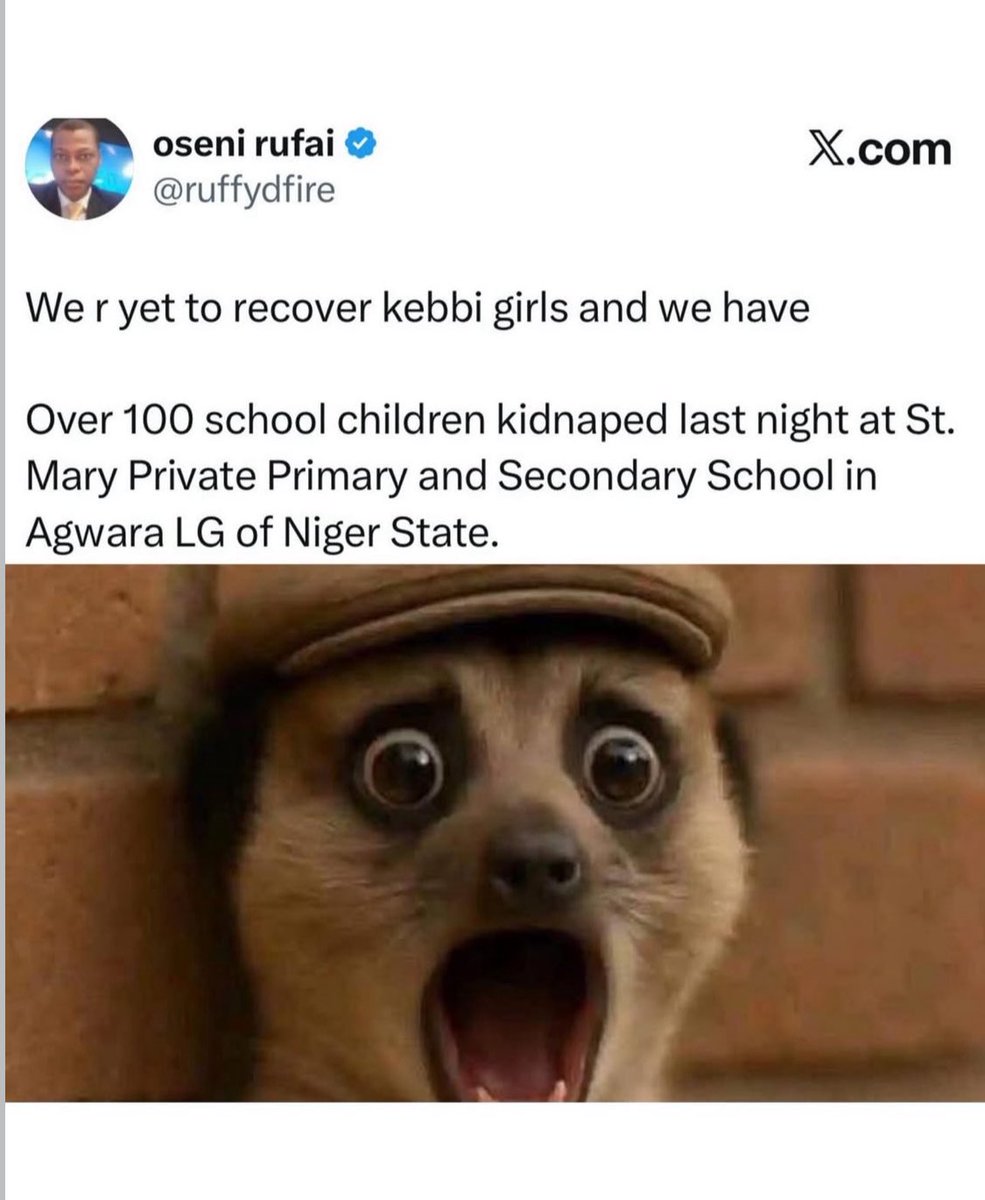 😢 #endtorrorisminnigeria