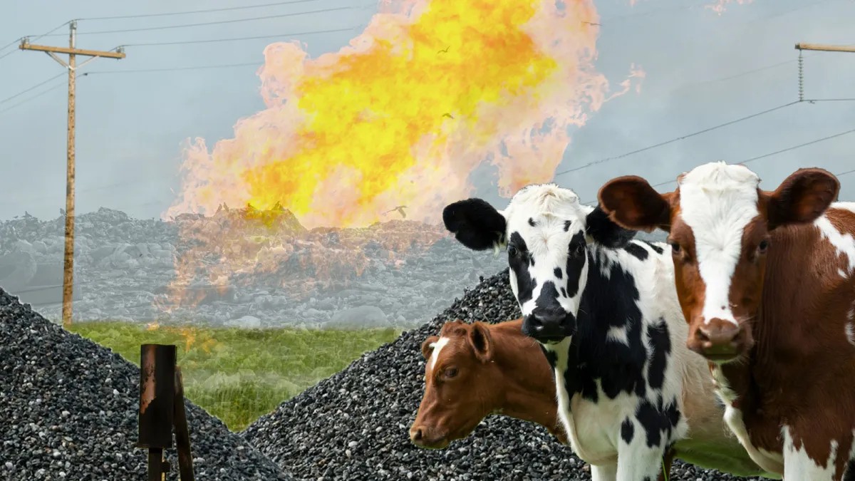 HySpeedGeo's tweet image. How satellites can help us find and clean up methane super-polluters #satellitedata #remotesensing #methane
yaleclimateconnections.org/2025/11/how-sa…