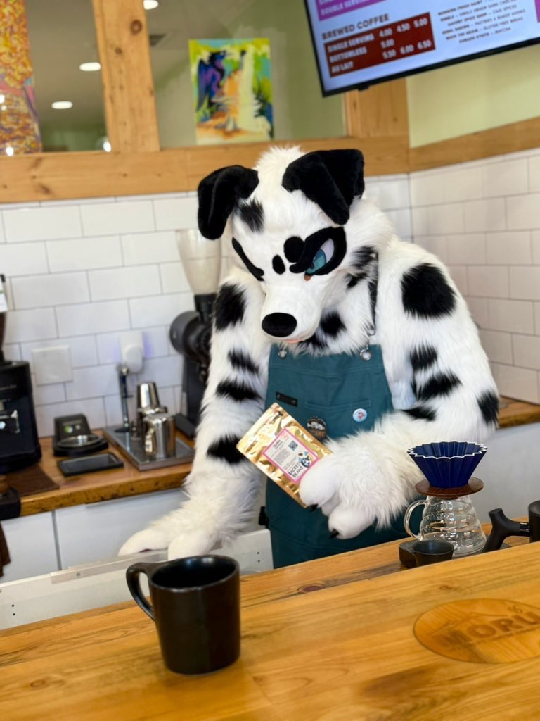 Sacred_Beans_Co's tweet image. He picked the beans. He’s dialed in. 🐾☕️

Animal Café is TONIGHT!
Join us for the last meet of November — fresh extractions, cozy vibes, and plenty of fluff-friendly community energy.

🪡:@mixedcandy 

#FursuitFriday #AnimalCafe #ColoradoFurs #SacredBeansCoffee