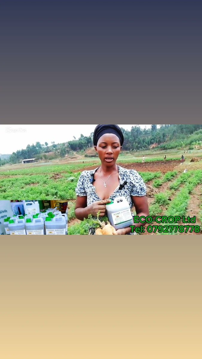 Eco_Crop's tweet image. From 2,000 RWF to 220 kg 🌱
Ingabire from Huye used 1L of COM-GROW on 5 ares of carrots and harvested 220 kg, saving on chemical costs and proving its power for smallholder farmers.

#COMGROW @Duhamic1 #MadeInRwanda  #agritech #RYAF #greenfund
@ProfemmesTH @Tangirastartup