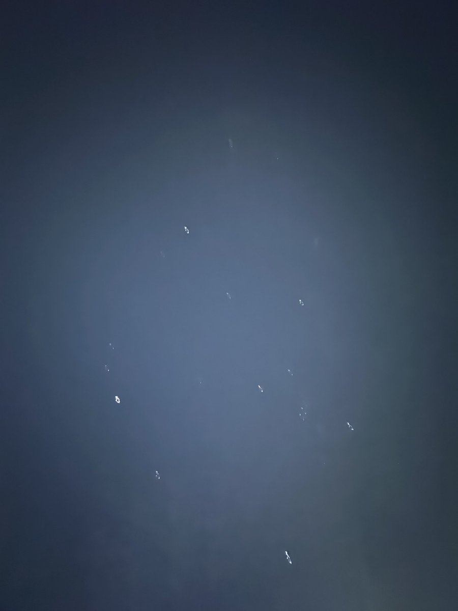 아니 저녁하늘 별사진 찍었는데 왠 플랑크톤이..