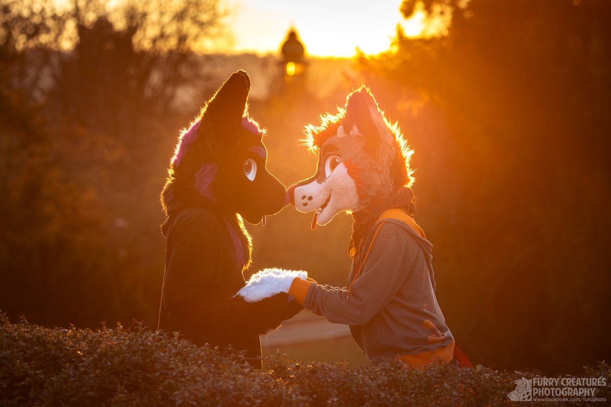 The Jumping Drolf tweet media