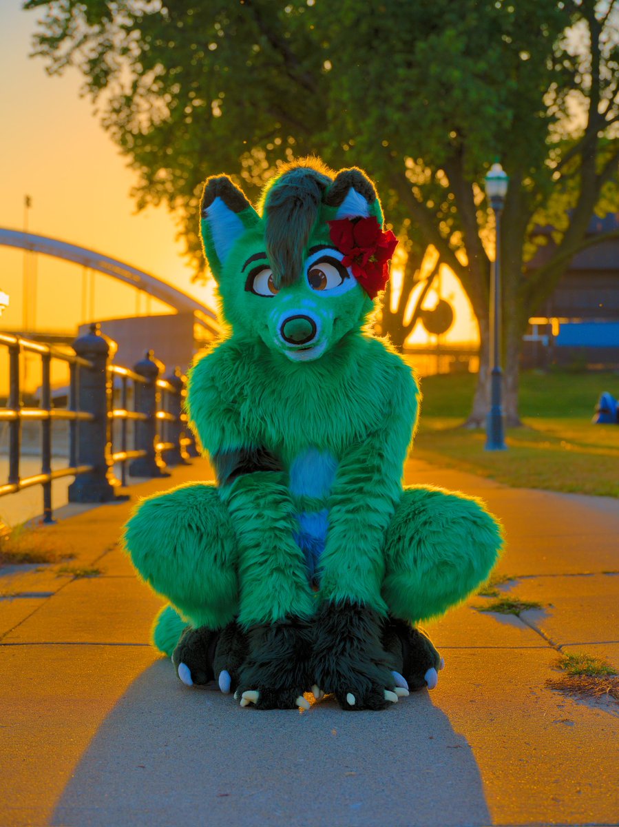 DukeDoggo's tweet image. Don&apos;t worry,
Be pubby🐶🐾
📷: @Spyn404 
#FursuitFriday