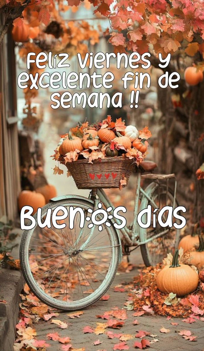 Nilda Petit tweet media