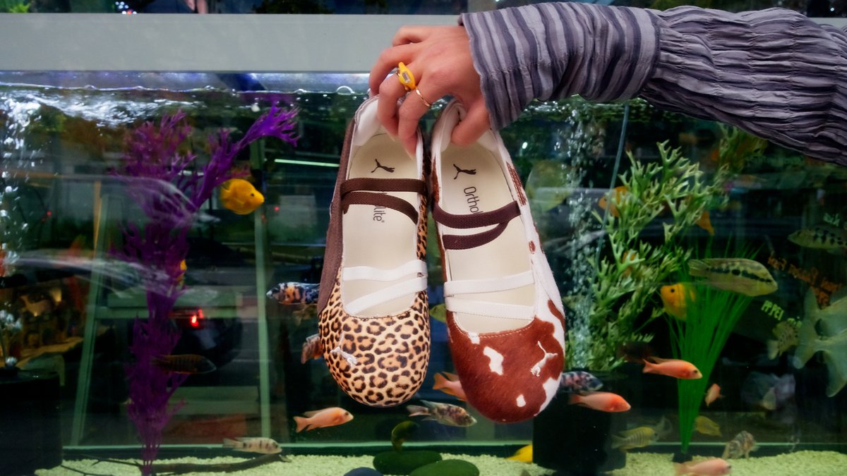 ExtraButter's tweet image. Extra Butter for PUMA Speedcat Ballet “Cowprint” and “Wild”

Now available in stores at both locations and online at extrabutterny.com!