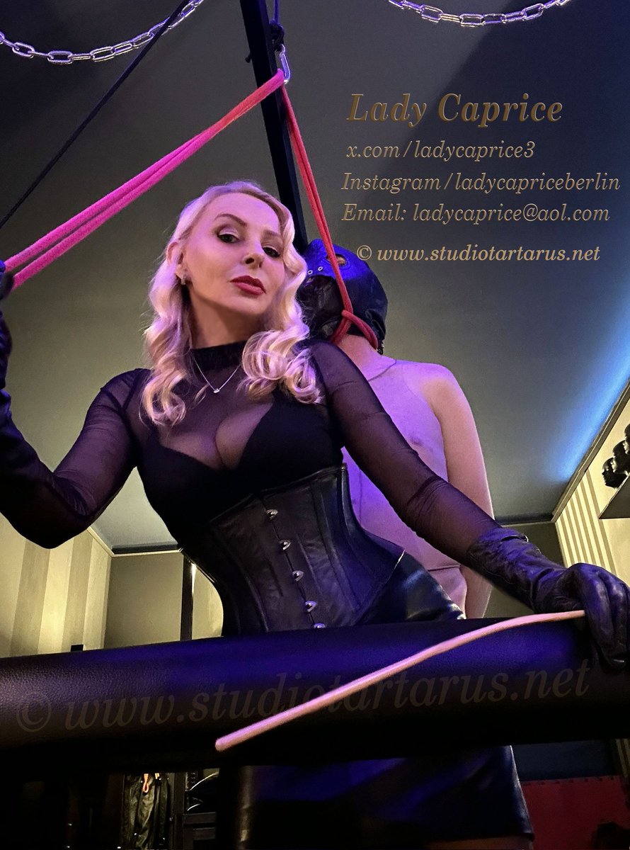 Lady Caprice tweet media