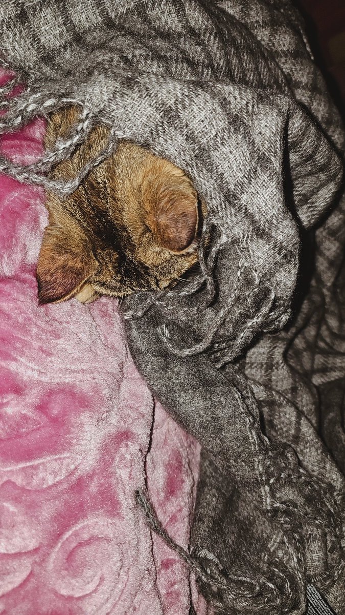 لبرد تا من كاندي تغطات😬😍🥶