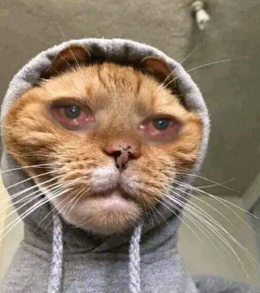 xavierighorodje's tweet image. Soon is all I can say.

#FORGLORY
#AMUriri