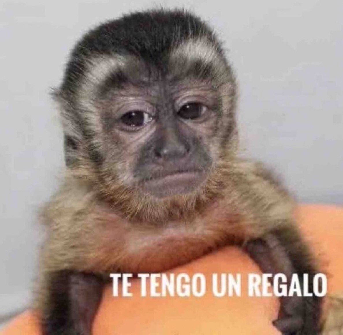 *Le compro un regalo a cualquier persona que se supone es sorpresa* 

Yo a la hora: