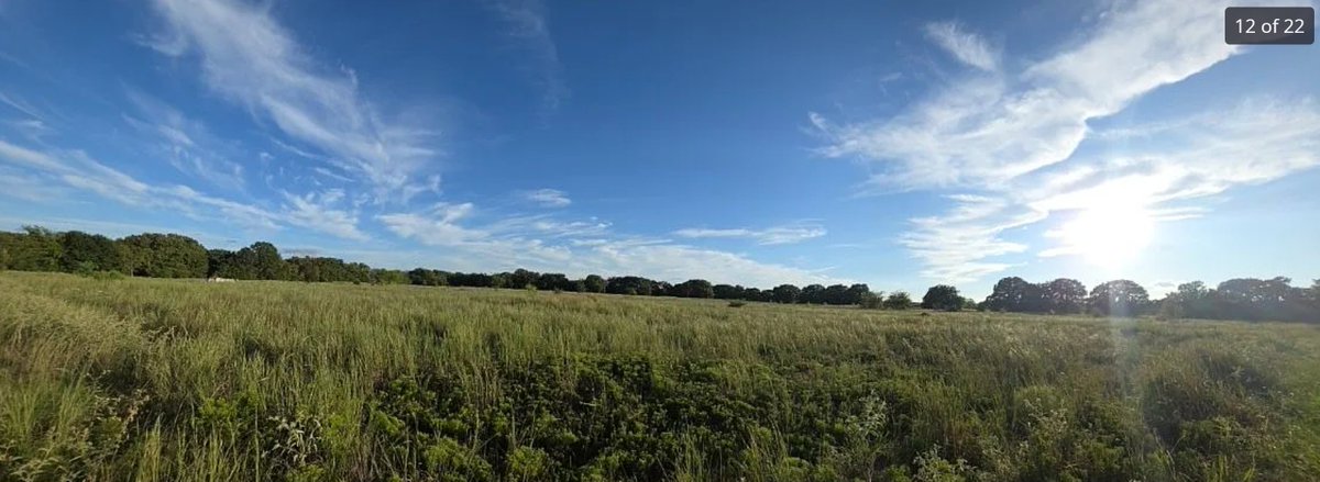 Organics4Free's tweet photo. 35.82 BEAUTIFUL ACRES FOR SALE $599,990.
Check out this Texas property; it's on @Zillow also.  https://t.co/bdhVX8fk3u   Move out of the city, and BREATHE!  Grow your own. #Homesteading #Land #ForSale 1200 E. Rabbit Cove Rd, Quinlan, TX https://t.co/zQvhw5yWzF