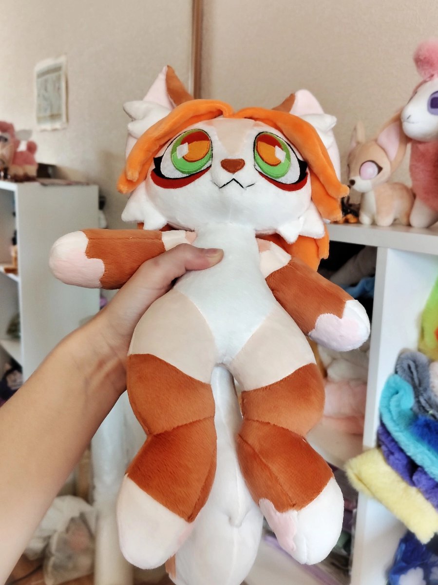 Terry Bryan tweet media