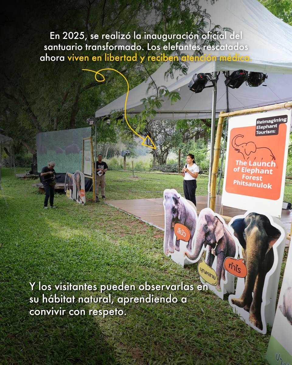 Protección Animal Mundial tweet media