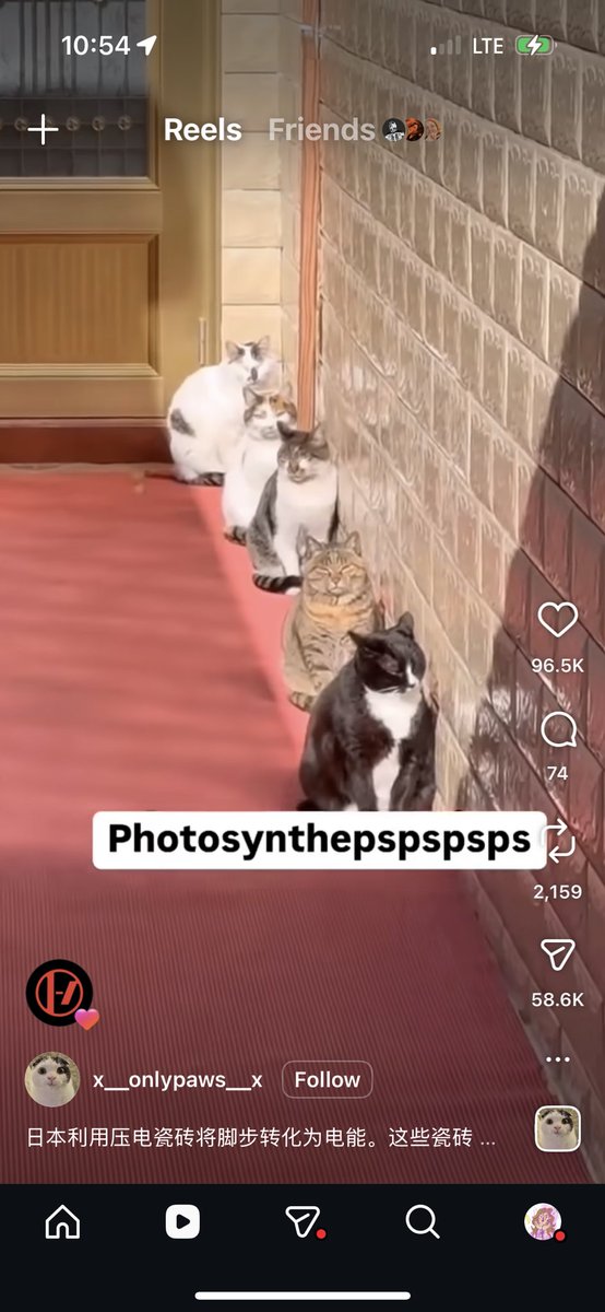 sydney 💝 tweet media