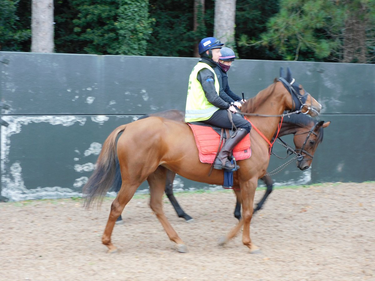 BG Racing Syndicates tweet media