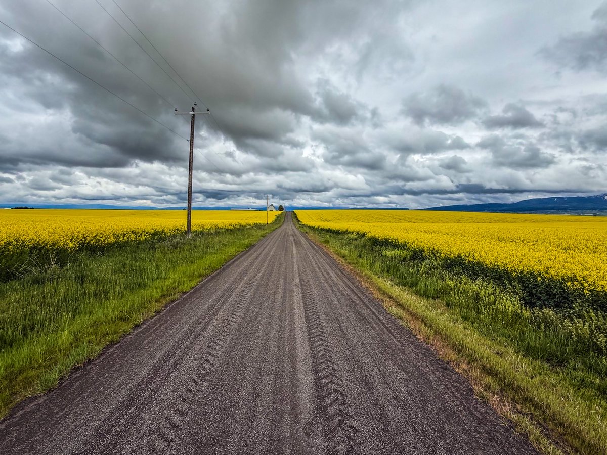 RepRussFulcher's tweet image. &quot;Oh give thanks to the Lord, for He is good, for His steadfast love endures forever,&quot; Psalm 107:1. 

From our beautiful Idaho, I wish you and your family a blessed Sunday!

-Russ