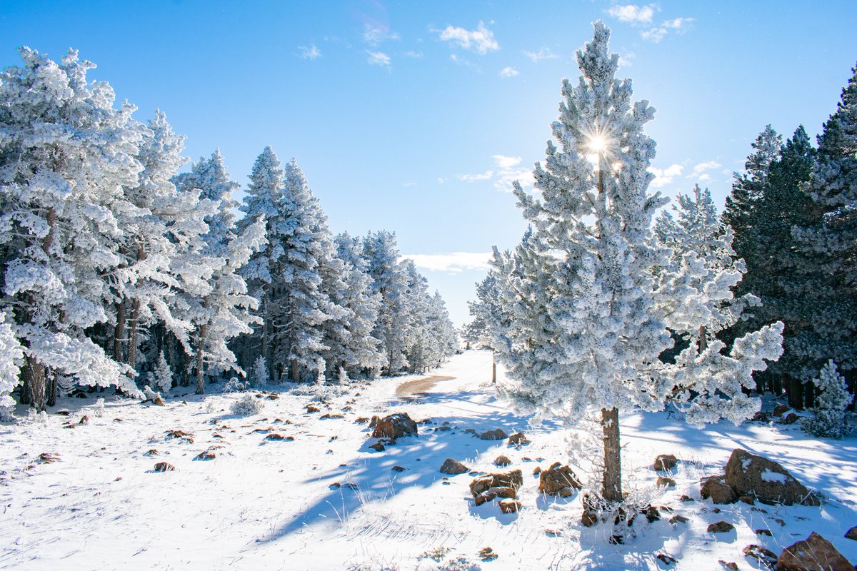 ApiceDrones's tweet photo. Mas de hoy
Espectacular nevada❄️❄️ https://t.co/LLj8ziHgVs