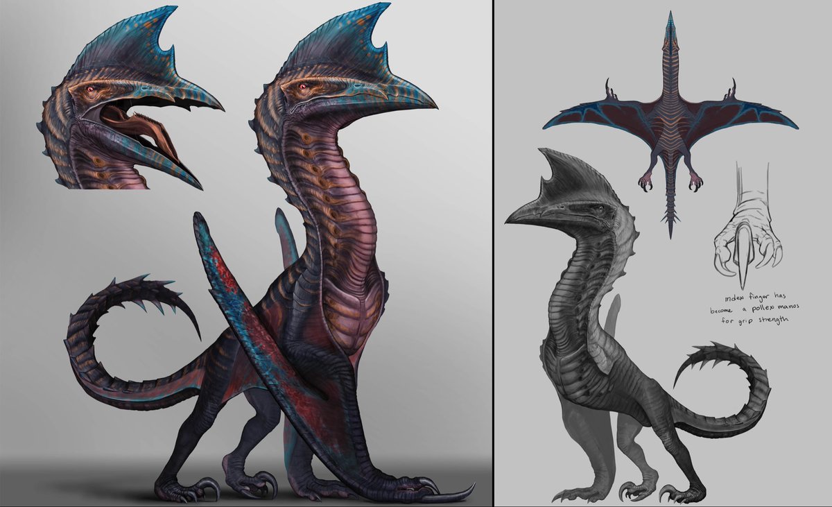 MoroNadakahn's tweet photo. These are the next 3 creature mods I plan to make next for ASA :) 

- Veldrith - (A ghidorah / Caraxes inspired wyvern)

- Supercephalosornis - (Hybrid Quetzal)

- Hexaprotodon - (A prehistoric hippo) 

All these are very early in development. 

#ark #asa #curseforge #creatures https://t.co/zTSjNaTcb2