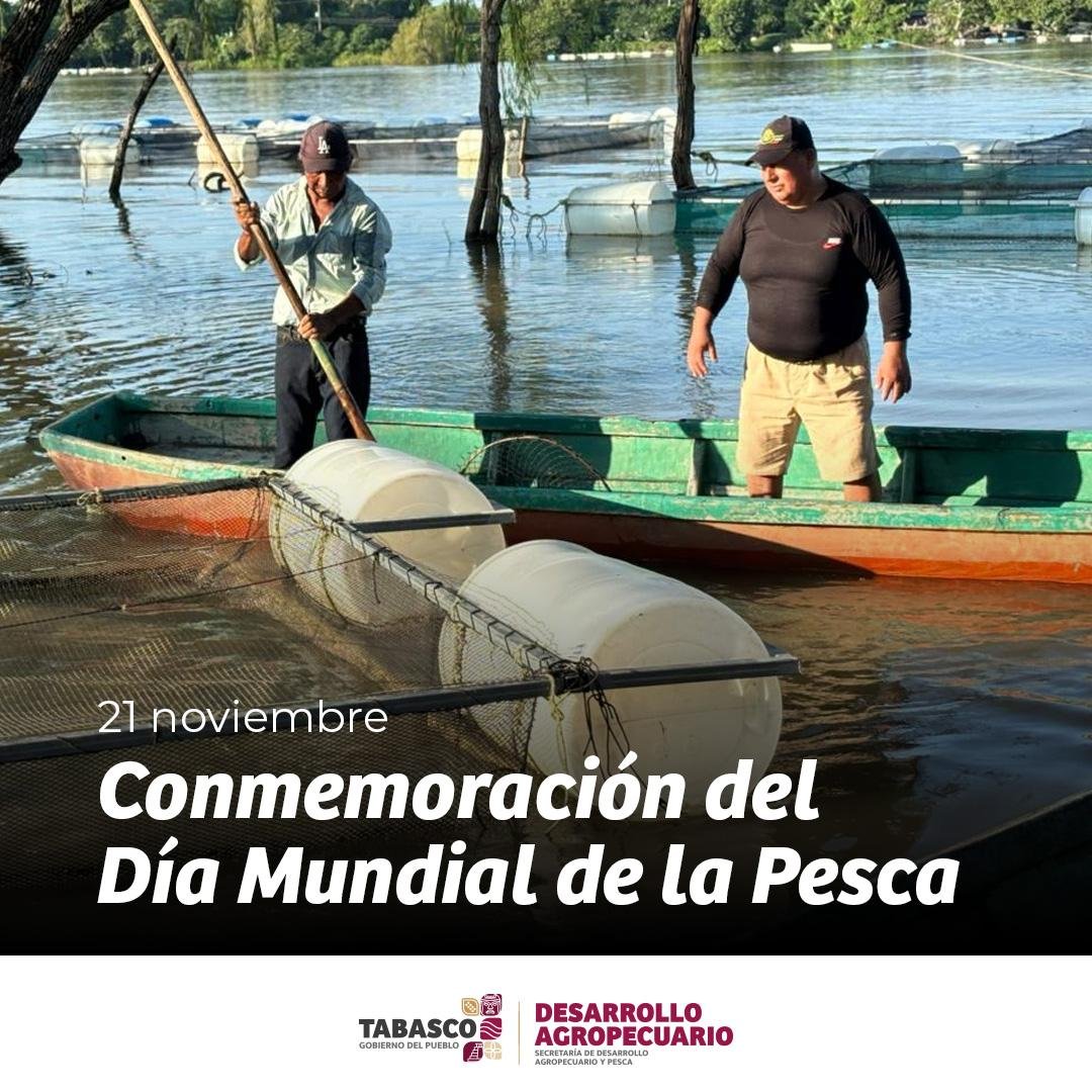 🐟🚣‍♀️En el Día de la Pesca, la SEDAP reconoce el esfuerzo de las y los pescadores tabasqueños, cuya labor sostiene comunidades y fortalece la seguridad alimentaria. 

Tabasco es tierra de agua y tradición, y su gente mantiene viva la riqueza de nuestros ríos y lagunas.
#Tabasco