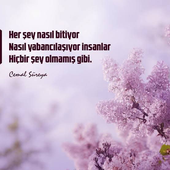 Her şey nasıl bitiyor...

#facebook sayfamız
facebook.com/cikgitaklimdan

#instagram sayfamız
instagram.com/cikgitaklimdan

#cikgitaklimdan #aşk #aşksözleri #aşkşiirleri #cemalsüreyya