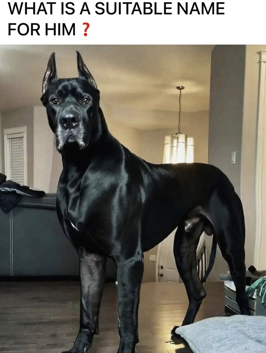 cloud1a7's tweet image. Boss 😎👌