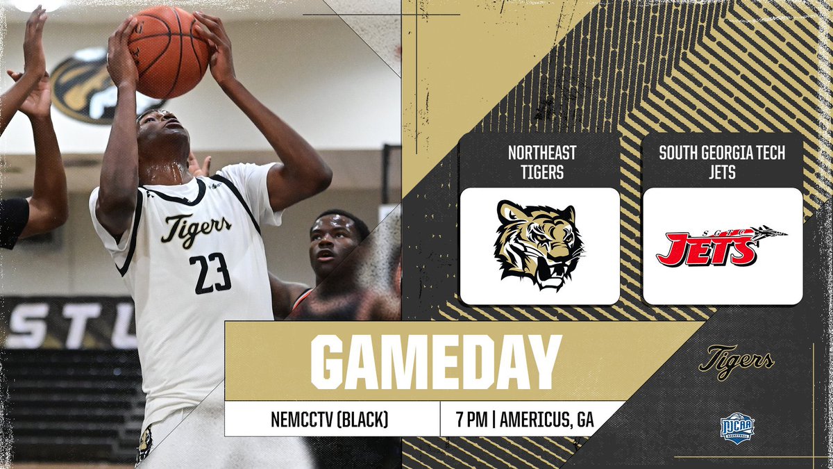 Northeast Tigers tweet media