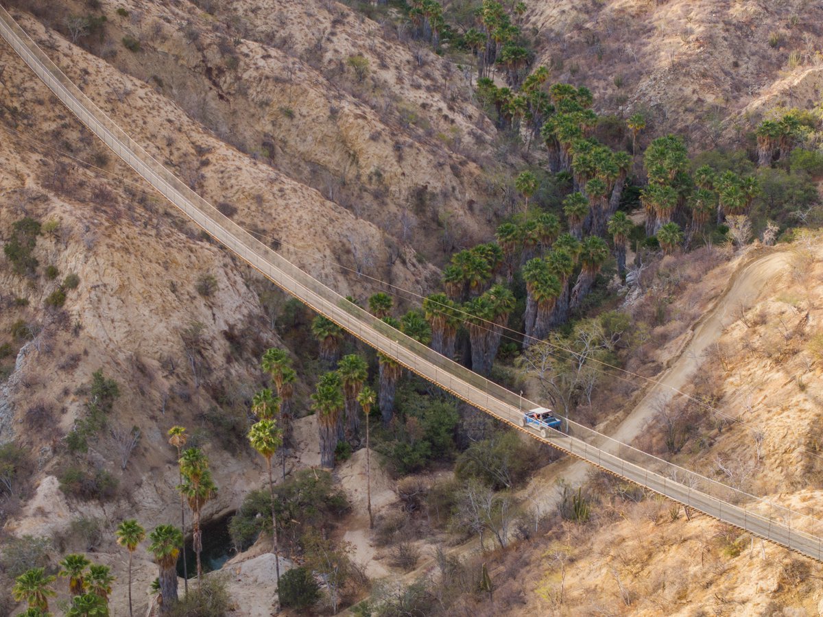 Los Cabos tweet media