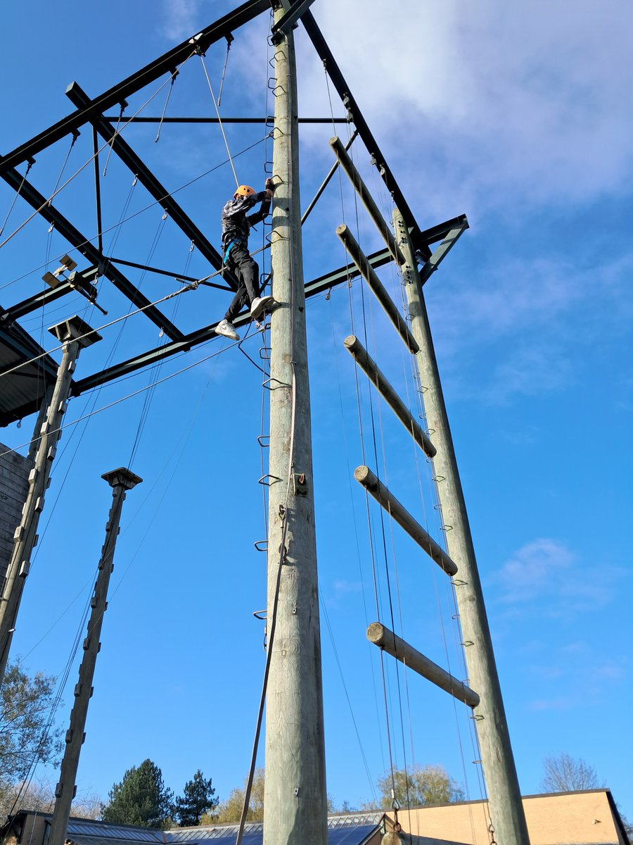 Jeremy Dodd tweet media