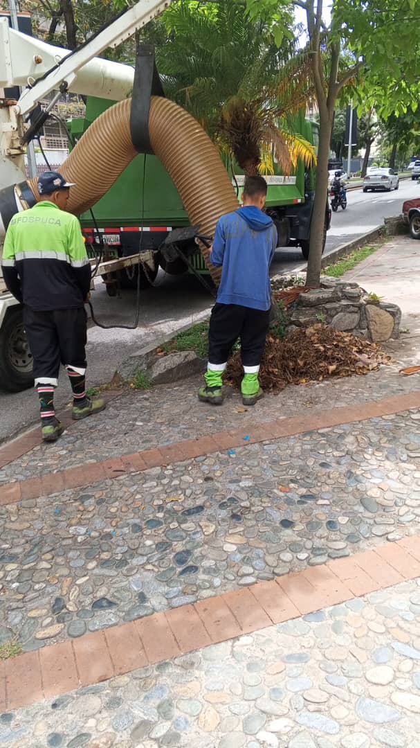 fospuca's tweet image. Las hojas secas 🍂y los desechos vegetales ya no serán un problema para los peatones de la Avenida principal de #ElCafetal y de #Chuao gracias a la extraordinaria labor que realiza nuestro equipo de saneamiento ambiental con la ayuda de la aspiradora mecánica.
Porque…