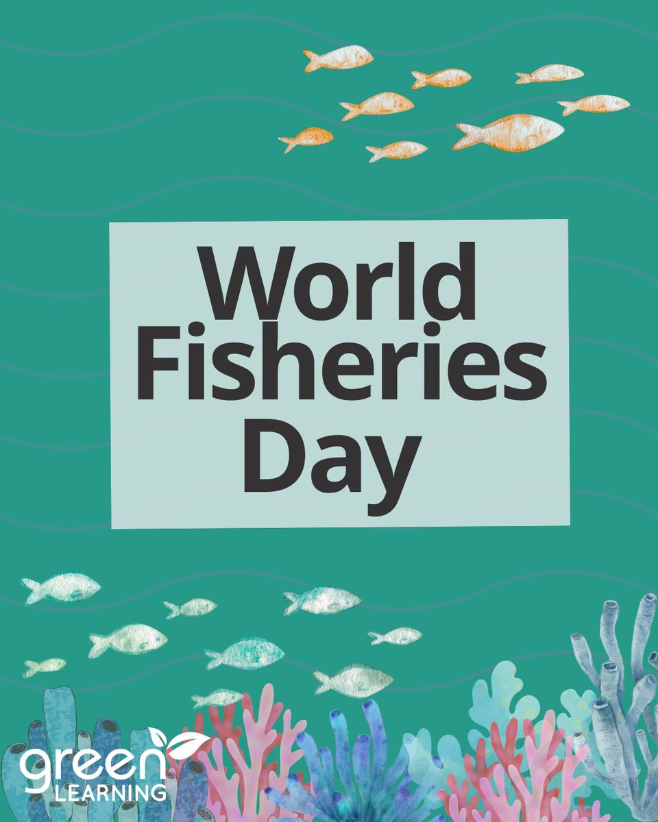 GreenLearning's tweet image. 🐟 Did you know today is World Fisheries Day? Lets help spread awareness of the importance of sustainable fisheries! Try our Float on with Argo activity with your learners and discover the importance of ocean monitoring! 

Click here:programs.greenlearning.ca/course/float-o…