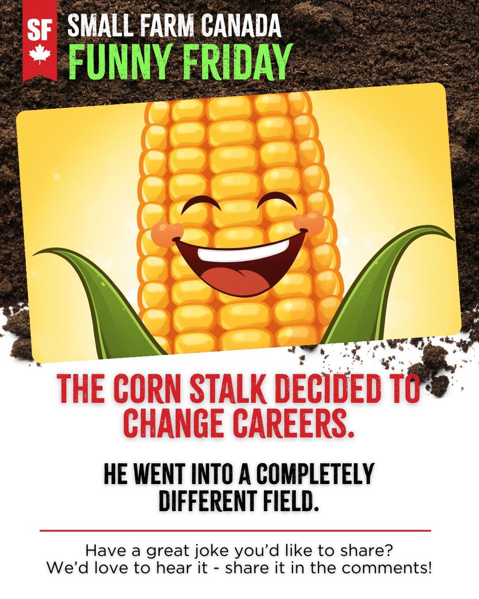 It’s Friday, which means it’s time for another farm-fueled joke to brighten your day!

The corn stalk decided to change careers.

He went into a completely different field.

#Jokes