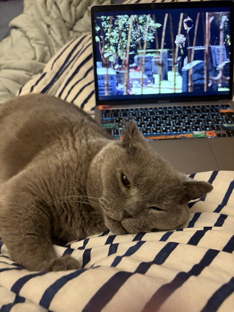 Капитан Кисуля (@dannioceanowl) on Twitter photo 