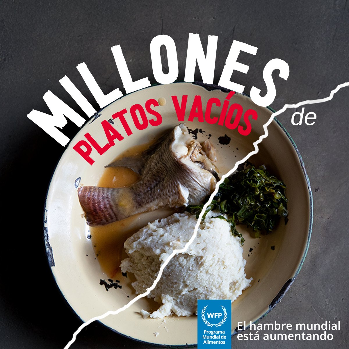 WFP Español tweet media