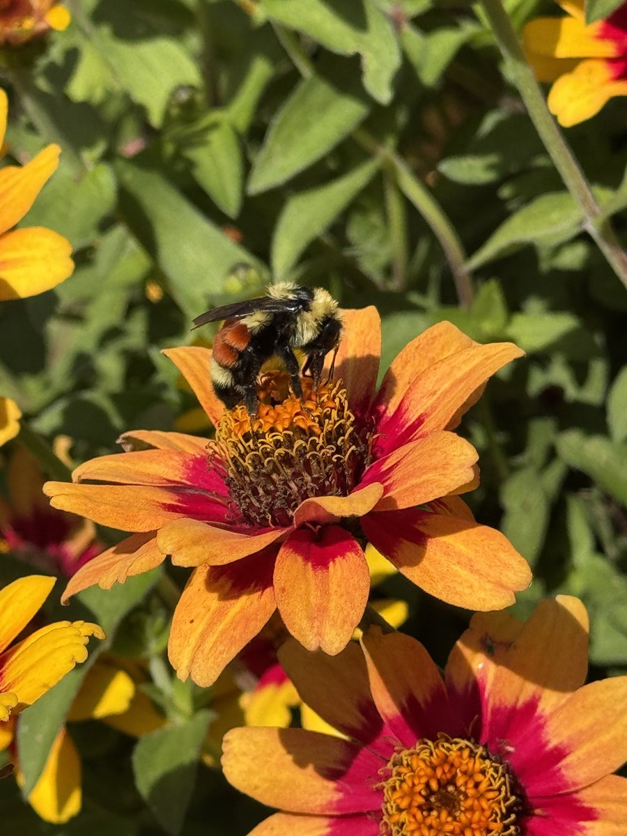 yycshutterbug's tweet photo. I’m back on X! Im hoping the algorithm can connect me with other creatives like photographers, videographers, writers, actors/actresses. 

It costs $0.00 to support me by giving me a follow. 

#photography https://t.co/vzSf9lrsIJ