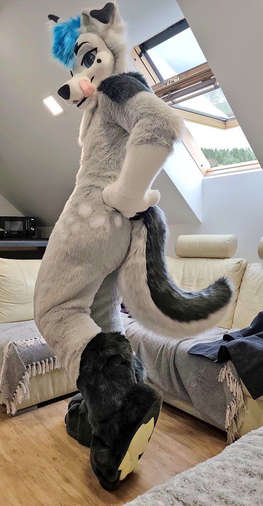 Introducing Aronine!💙💛
Fullsuit commission done for a good friend🥰 thank you so much for working with us!