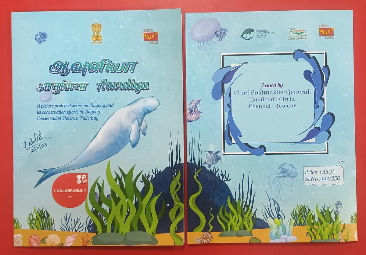 pmgtrichy's tweet photo. Aavuliya, a special philatelic offering from Central Region, Tamilnadu Circle, dedicated to India’s conservation efforts for the Dugong — our gentle, vulnerable marine mammal. Featuring 11 exclusive picture postcards, an informative pamphlet &amp; theme-based cancellations, https://t.co/Gelrj65ymg