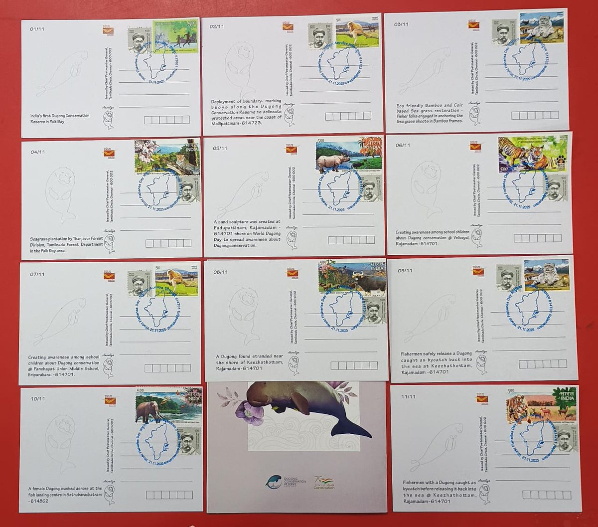 pmgtrichy's tweet photo. Aavuliya, a special philatelic offering from Central Region, Tamilnadu Circle, dedicated to India’s conservation efforts for the Dugong — our gentle, vulnerable marine mammal. Featuring 11 exclusive picture postcards, an informative pamphlet &amp; theme-based cancellations, https://t.co/Gelrj65ymg